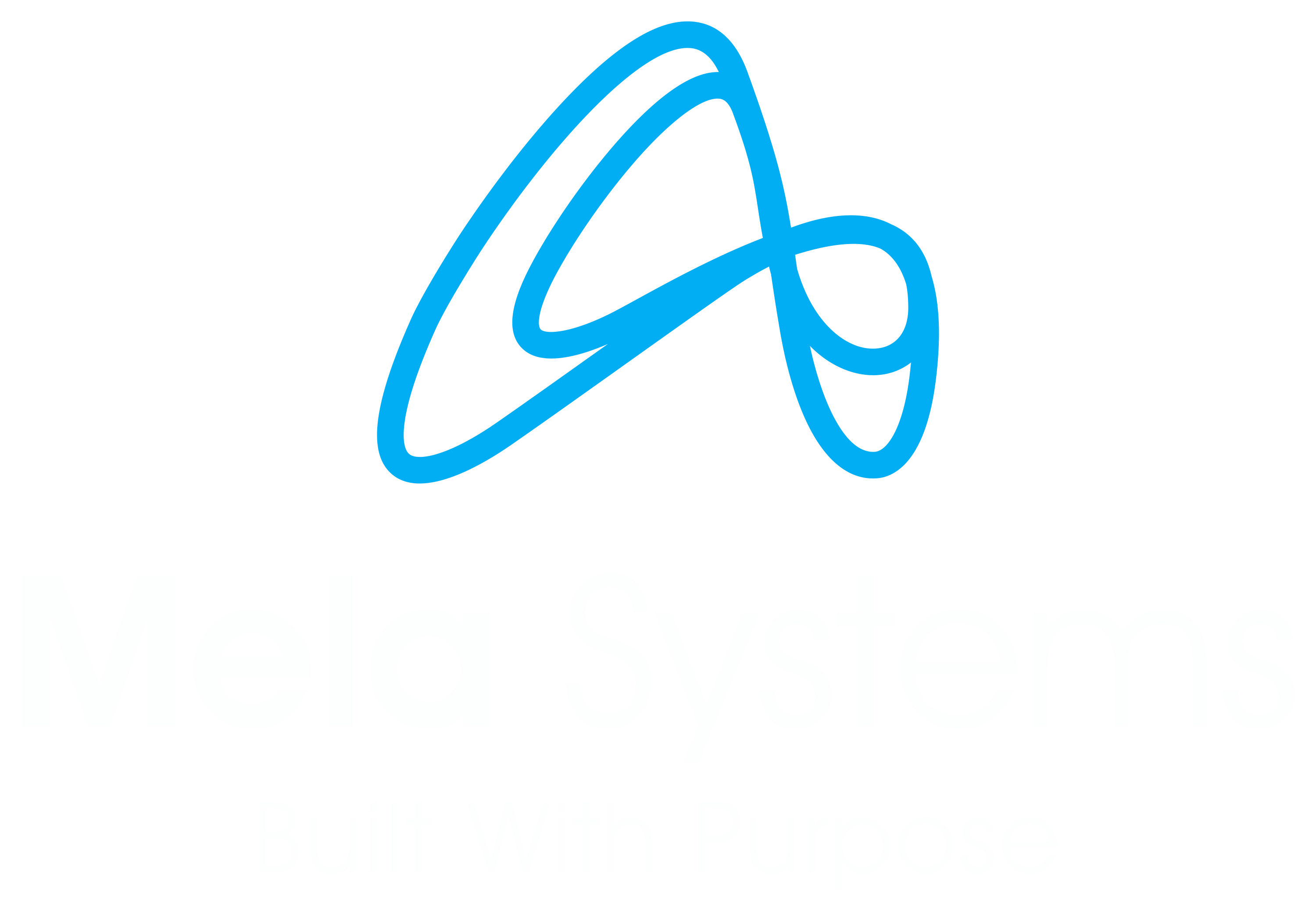 Mela Systems